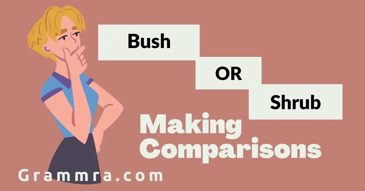 Bush or Shrub